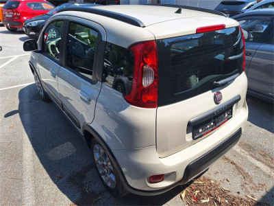 Fiat Panda Gebrauchtwagen Fiat Panda Gebrauchtwagen