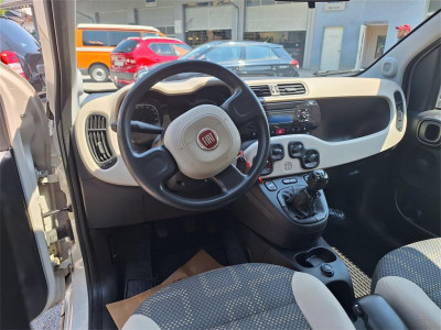 Fiat Panda Gebrauchtwagen Fiat Panda Gebrauchtwagen