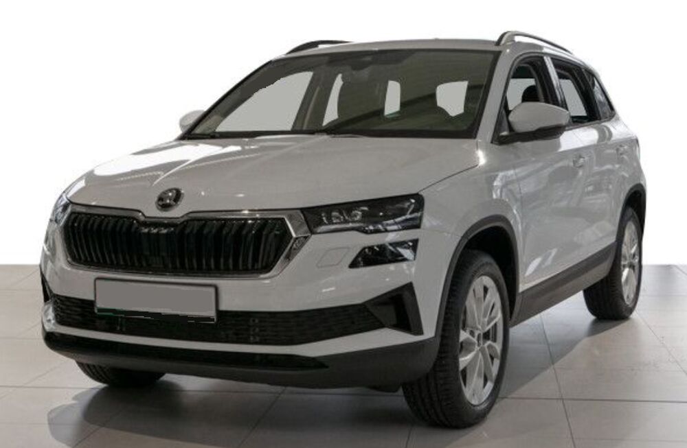 Skoda Karoq Gebrauchtwagen