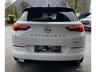 Opel Grandland X Tageszulassung