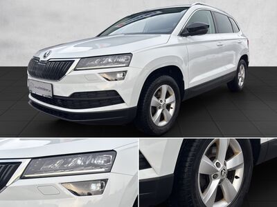 Skoda Karoq Gebrauchtwagen