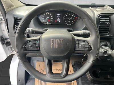 Fiat Ducato Gebrauchtwagen