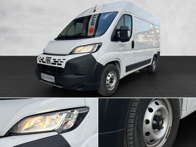 Fiat Ducato Gebrauchtwagen