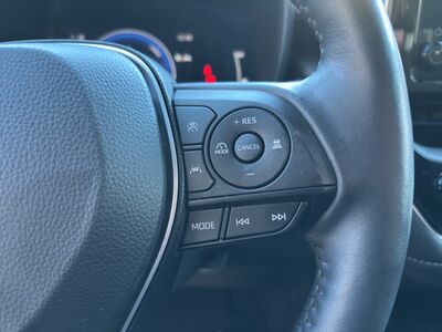 Suzuki Swace Gebrauchtwagen