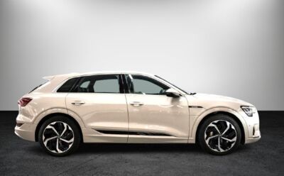 Audi e-tron Gebrauchtwagen