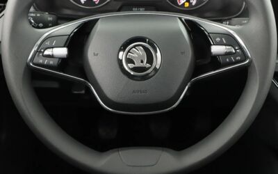 Skoda Scala Gebrauchtwagen