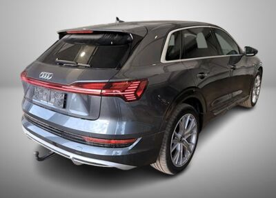 Audi e-tron Gebrauchtwagen
