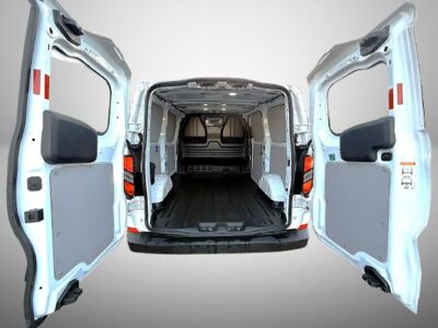 Ford Transit Custom Tageszulassung