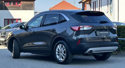 Ford Kuga Gebrauchtwagen
