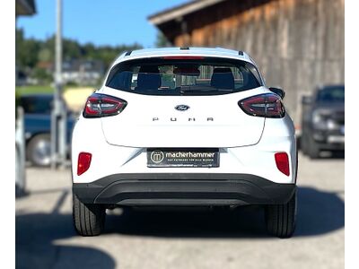 Ford Puma Gebrauchtwagen Ford Puma Gebrauchtwagen