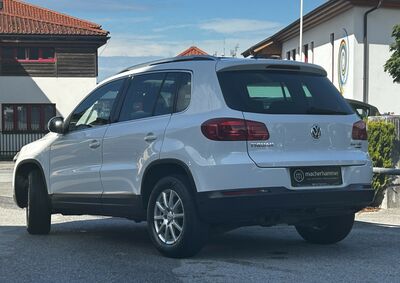 VW Tiguan Gebrauchtwagen VW Tiguan Gebrauchtwagen