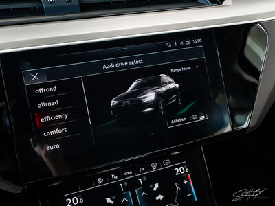 Audi Q8 e-tron Gebrauchtwagen Audi Q8 e-tron Gebrauchtwagen