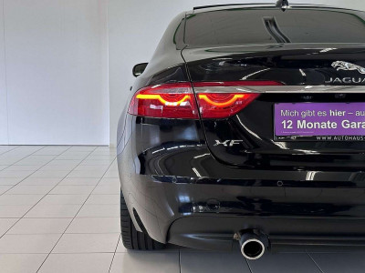 Jaguar XF Gebrauchtwagen Jaguar XF Gebrauchtwagen