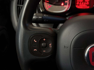 Fiat Panda Gebrauchtwagen