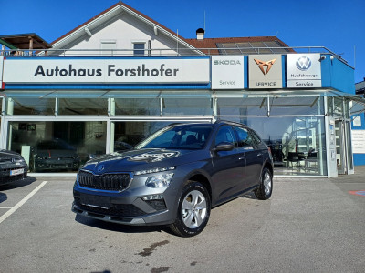 Skoda Kamiq Gebrauchtwagen