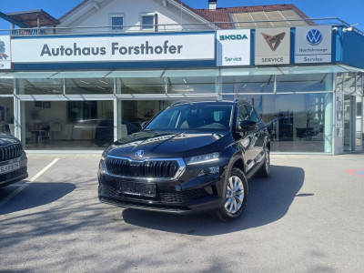 Skoda Karoq Gebrauchtwagen