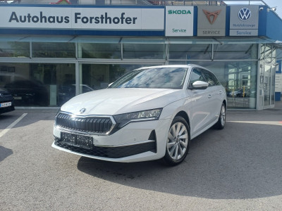 Skoda Octavia Gebrauchtwagen Skoda Octavia Gebrauchtwagen