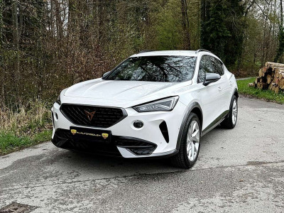 Cupra Formentor Gebrauchtwagen