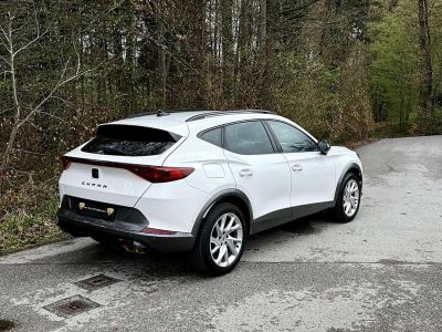 Cupra Formentor Gebrauchtwagen Cupra Formentor Gebrauchtwagen