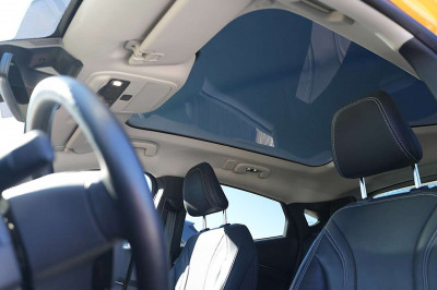 Ford Mustang Mach-E Gebrauchtwagen