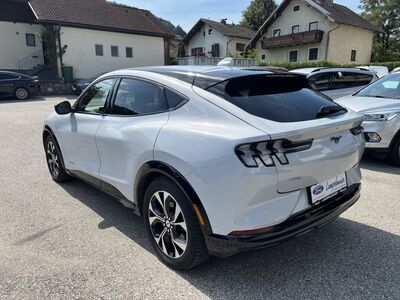 Ford Mustang Mach-E Gebrauchtwagen