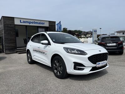 Ford Kuga Vorführwagen