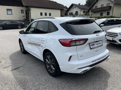 Ford Kuga Vorführwagen