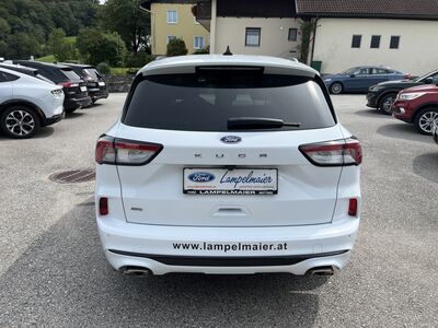 Ford Kuga Vorführwagen