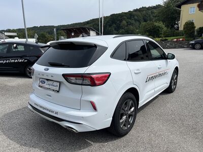 Ford Kuga Vorführwagen