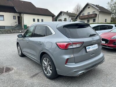 Ford Kuga Gebrauchtwagen