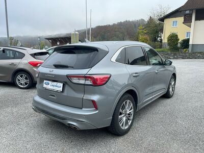 Ford Kuga Gebrauchtwagen