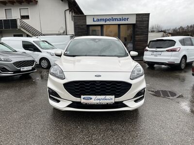 Ford Kuga Gebrauchtwagen