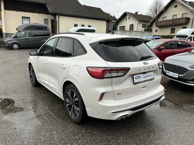 Ford Kuga Gebrauchtwagen