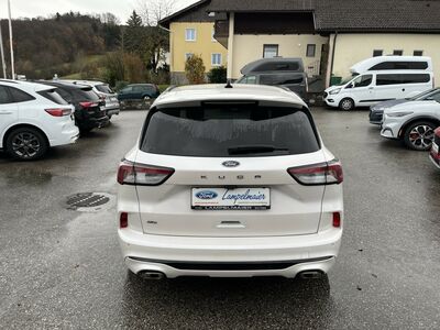 Ford Kuga Gebrauchtwagen