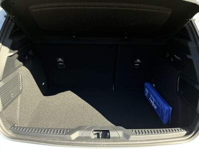 Ford Focus Vorführwagen