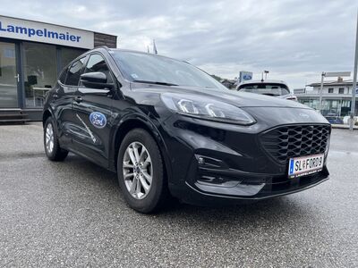 Ford Kuga Vorführwagen
