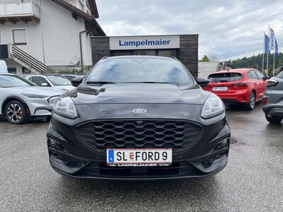 Ford Kuga Vorführwagen
