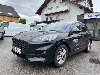 Ford Kuga Vorführwagen