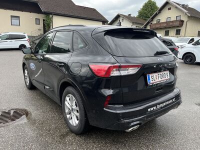 Ford Kuga Vorführwagen
