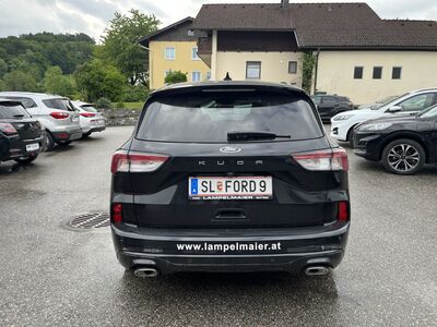 Ford Kuga Vorführwagen