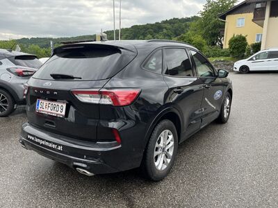Ford Kuga Vorführwagen