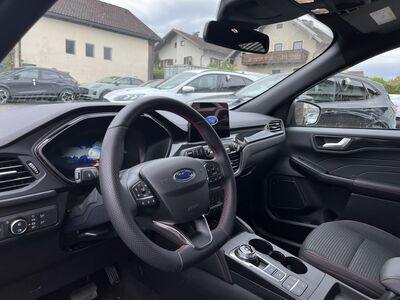 Ford Kuga Vorführwagen