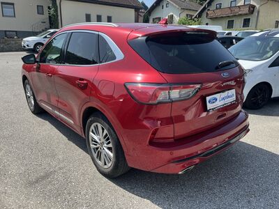 Ford Kuga Gebrauchtwagen
