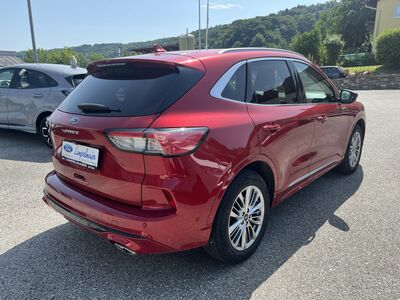 Ford Kuga Gebrauchtwagen