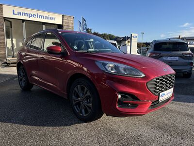 Ford Kuga Gebrauchtwagen