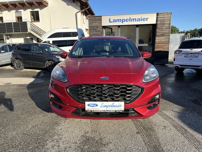 Ford Kuga Gebrauchtwagen