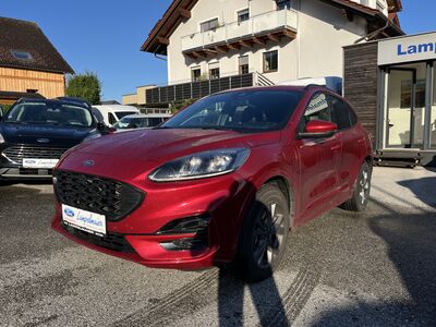 Ford Kuga Gebrauchtwagen