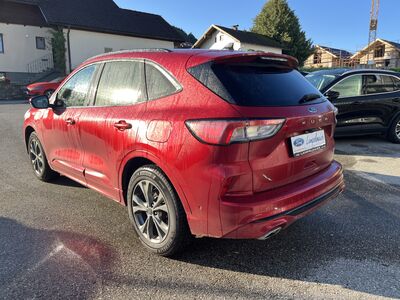 Ford Kuga Gebrauchtwagen