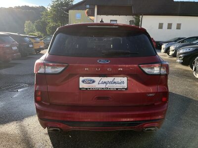 Ford Kuga Gebrauchtwagen