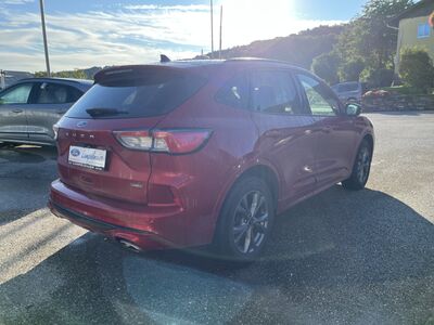 Ford Kuga Gebrauchtwagen